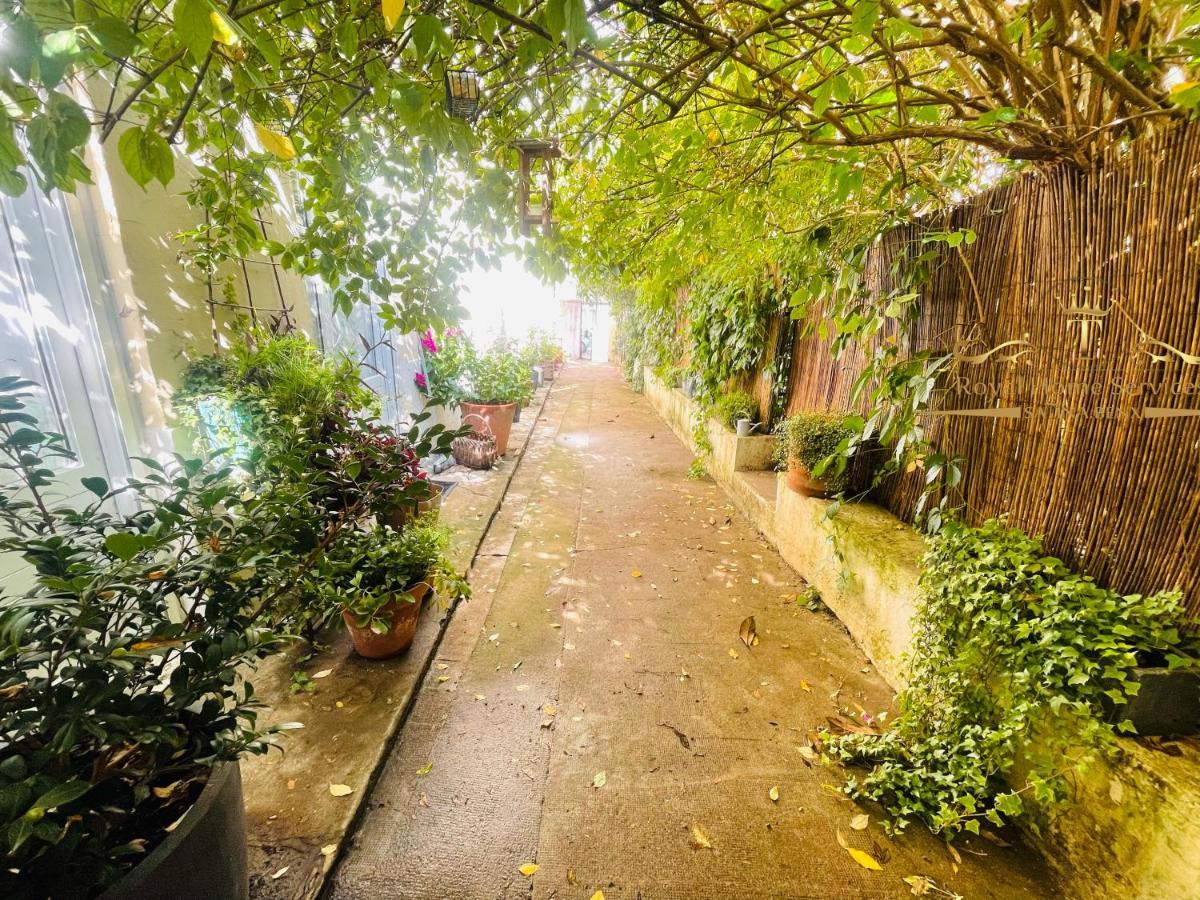 Le Jardin Croix Roussien Lägenhet Lyon Exteriör bild